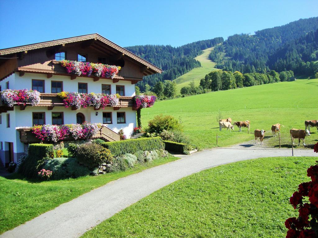 Sixenhof Apartment Niederau Exterior photo